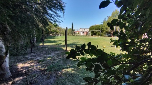  BARRIO LAS TARDES ROLDAN lote forestado con perimetro cercado  y mejoras 