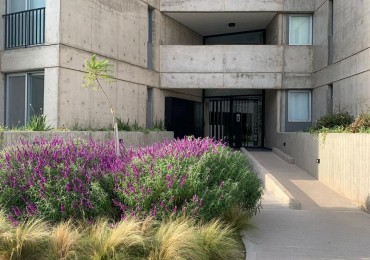 DEPARTAMENTO DE 2 DORMITORIOS EN 8 SAUCES